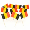 Factory new machine to make german toothpick flag