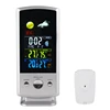 Digital Room In Out Protect Thermometer Hygrometer Outdoor Protect RF Tech Professional Wireless Weather