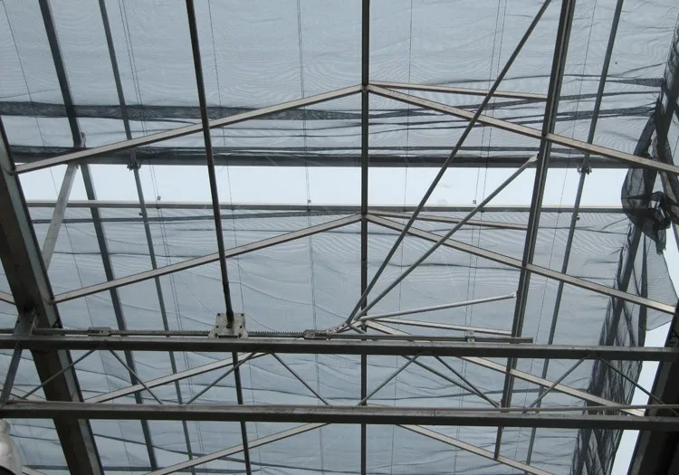 Tinted Float Glass Greenhouse
