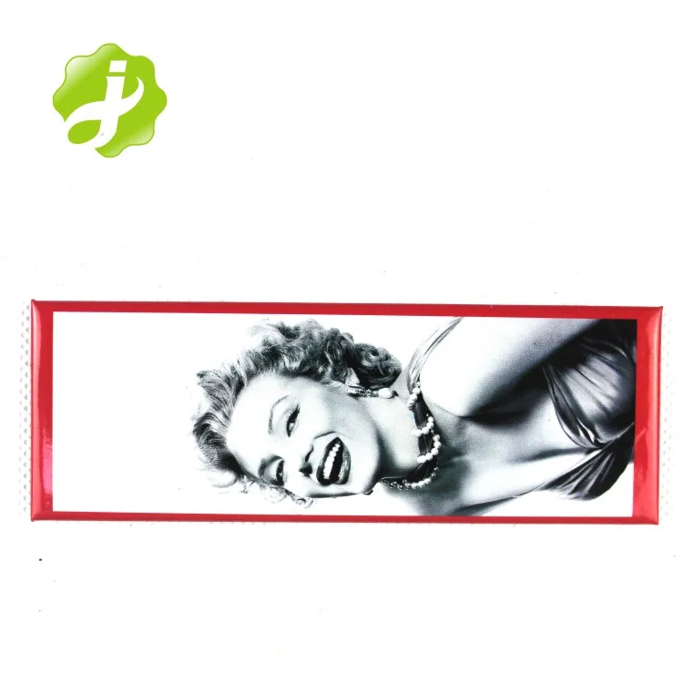 metal fridge magnet016