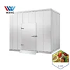 PU sandwich panel cold room refrigeration unit