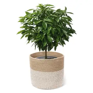 Natural cotton rope indoor rattan hanging water plant basket