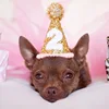 Lovely and beautiful lace pet caps hair accessories pet hats for birthday party cat dog crown magic caps