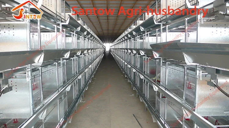 prefabricated chicken coop hen house for sale / metal wire mesh laying hen houses