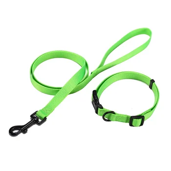 colorful dog collars and leashes