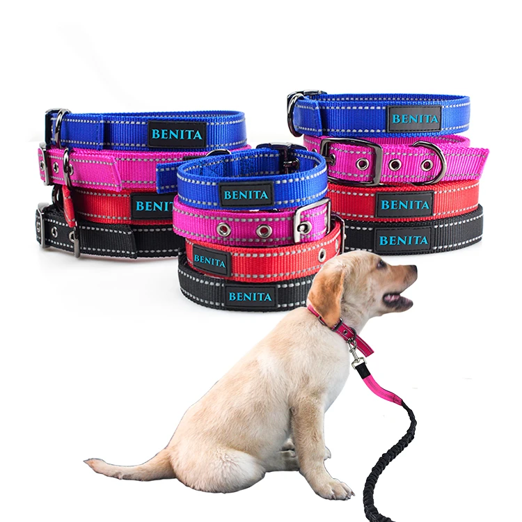 Premium Quality Adjustable Sublimation Poly Dog Collar And Leash Buy