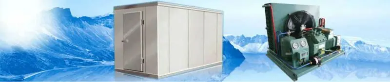 commercial cold room price for storing