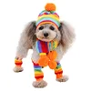 Pet Clothes Hat Scarf Gloves Three-piece Set Dog Winter Hat Scarf Warm Supplies