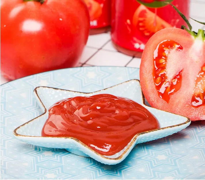 
High quality tomato paste flavor kechup flavor powder 