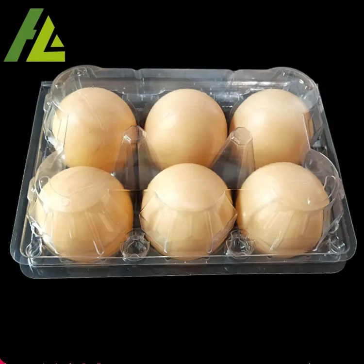 6 Holes Divided Plastic Chicken Eggs Duck Eggs Tray Buy Egg Turning