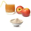 Instant Drink custard apple powder For Juice Food Processing