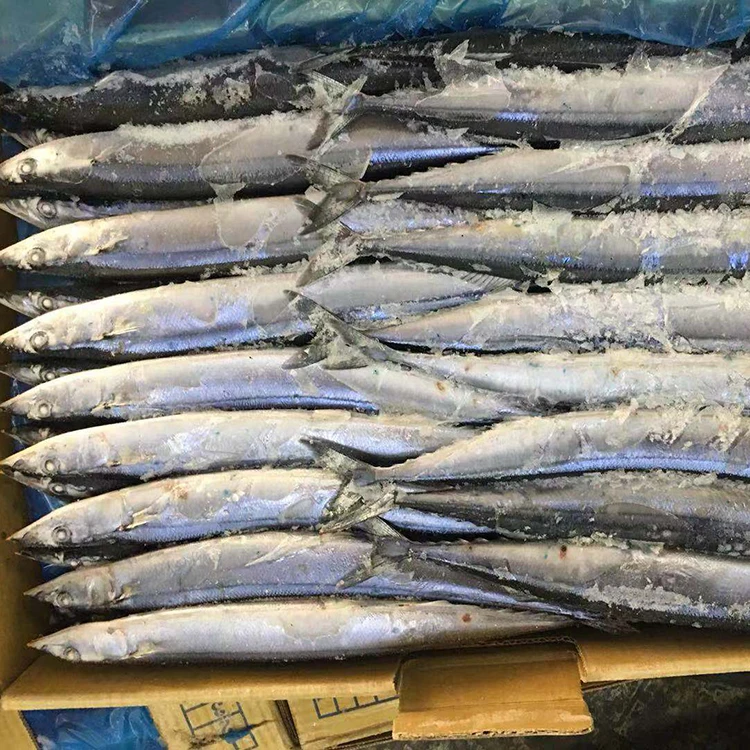 1bf21cad679fea0 (1).jpg