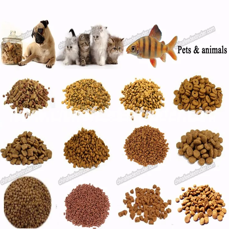 dog_food_samples