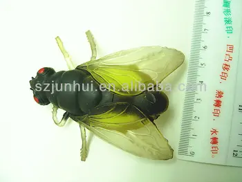 cicada toy