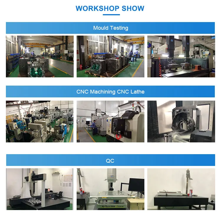 Workshop show