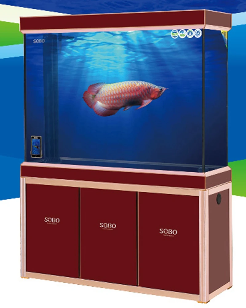 arowana fish tank price
