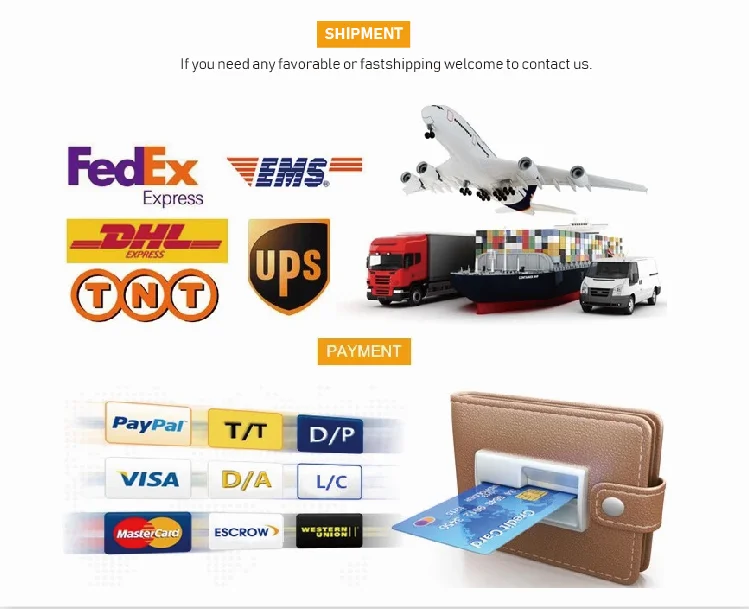 Shipment & Payment.png
