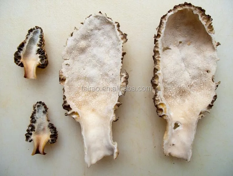 
Dried stemless morels morchella size 3-6 cm factory price 