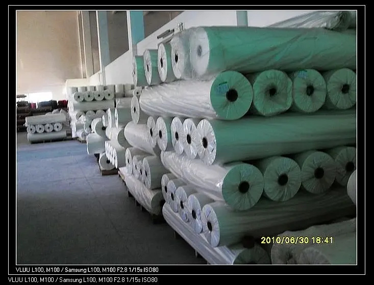 nEO_IMG_nEO_IMG_SDC14094