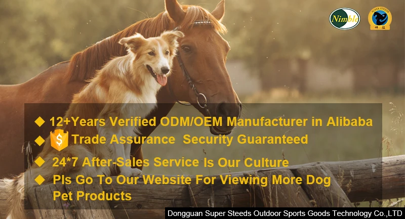QQ20190724151901