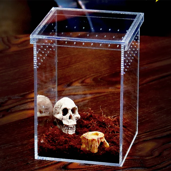 plexiglass rabbit cage