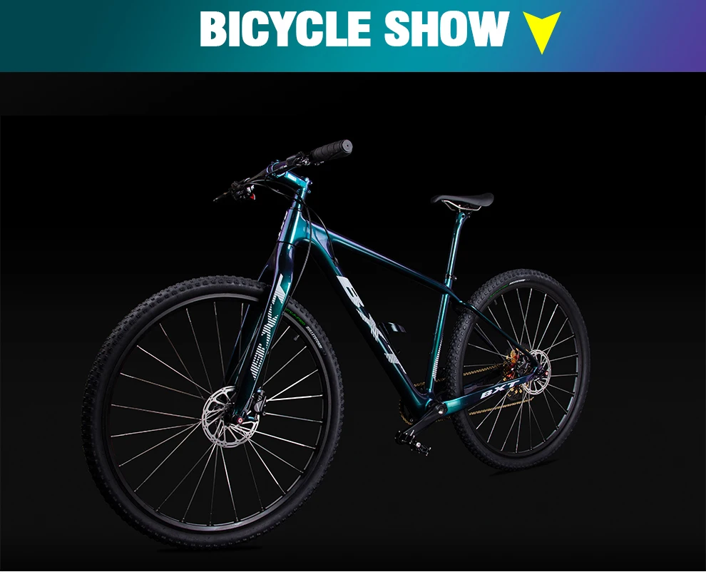 bxt 29er carbon frame