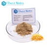 2019 HOT SALE Pure Cordyces Militaris Extract/Cordyceps Powder