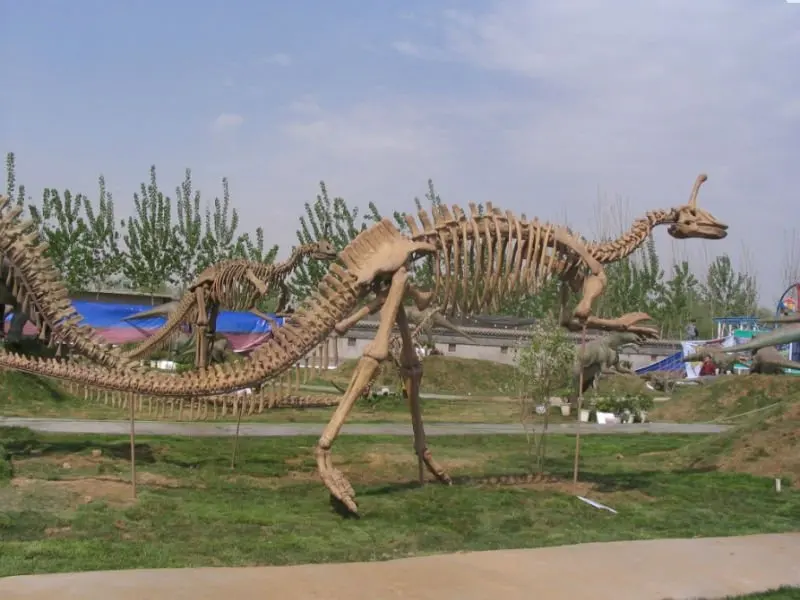 Lebensgroße große dinosaurierskelett skulptur