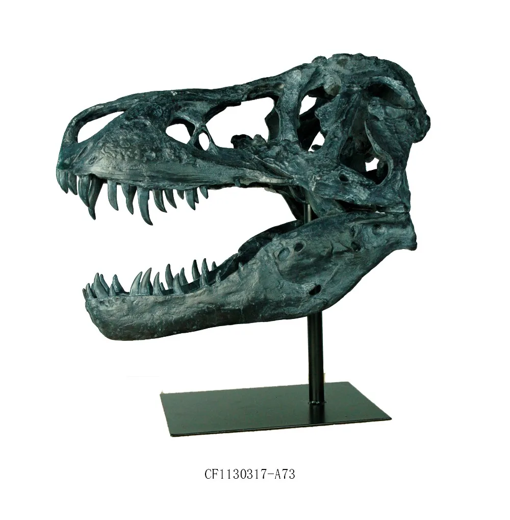 3D Carved Resin Animal Head Tyrannosaurus T Rex Head  Dinosaur Skull For Home Decor factory