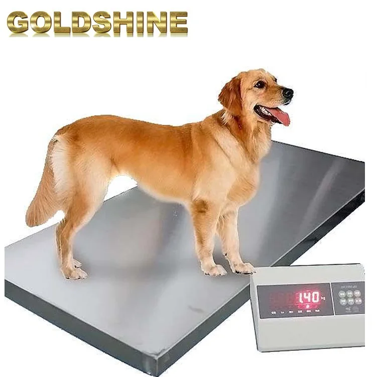Puppy Sale Weighing Platform Beamtype Hog Livestock Weigh Veterinary