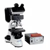 Biobase New Product Fluorescence Biological Microscope Price Hot for Sale