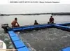 Aquaculture Farm Lattice Netting
