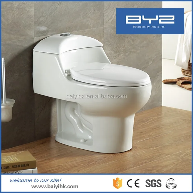 waterridge-one-piece-elongated-dual-flush-toilet-costcochaser