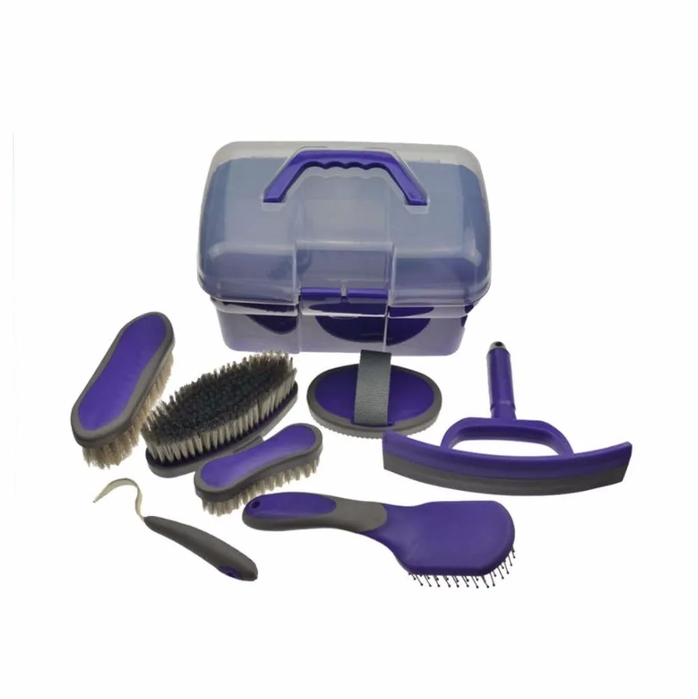 horse care equipment