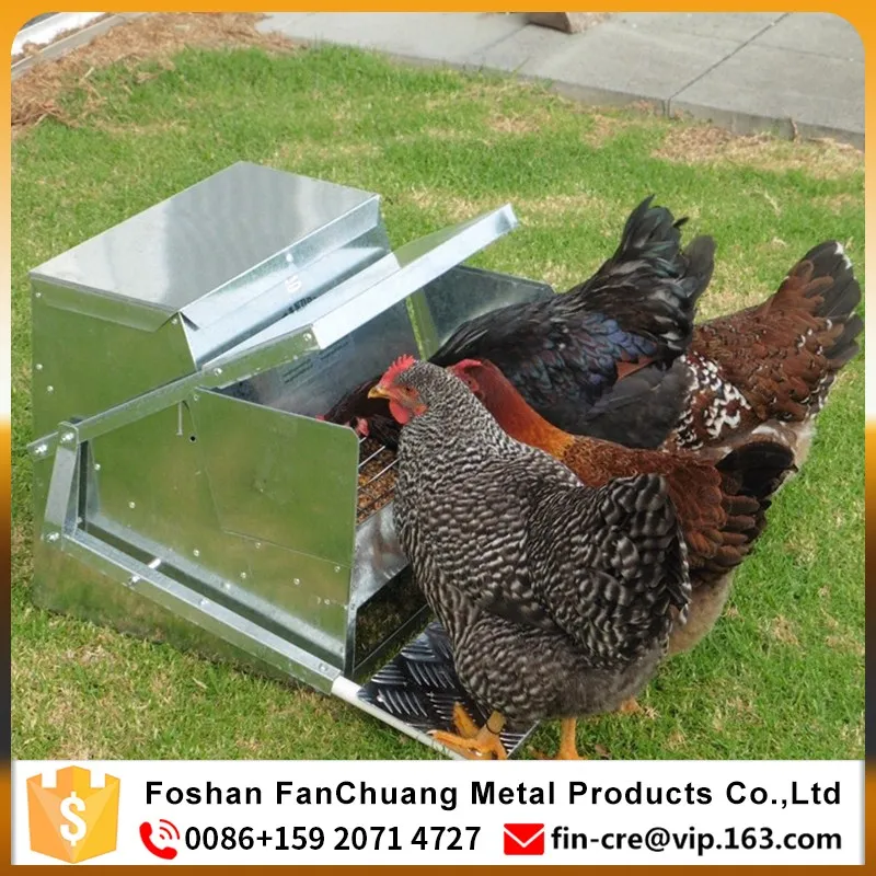 Automatic Chicken Feeder Photos Images Pictures On Alibaba