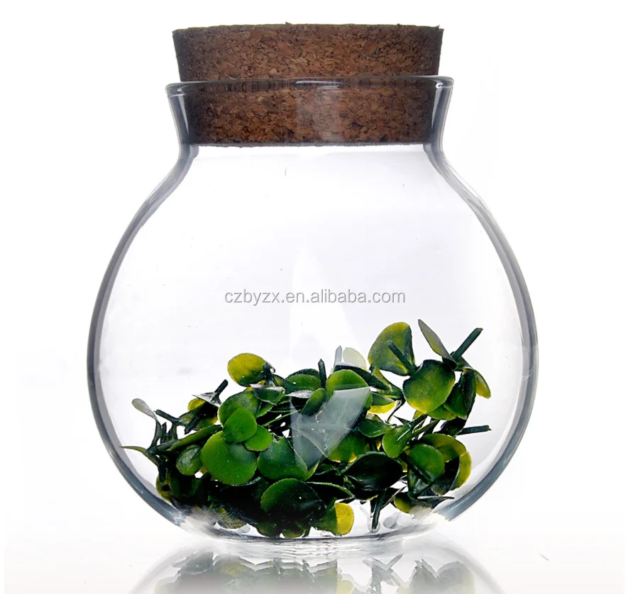 glass storage jar (2)
