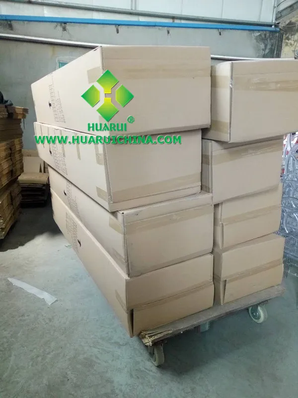 clear napoleon 2_.jpg