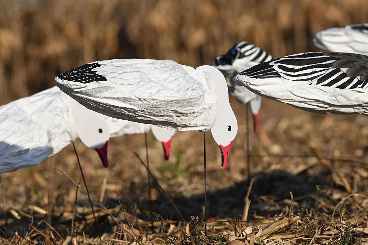 cheap snow goose shell decoys find snow goose shell decoys deals on deadly decoys snow goose flyer
