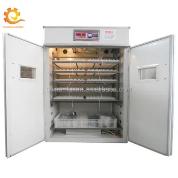 Best place to buy egg incubator