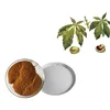 Organic aescin 20% - 98% sodium aescin/horse chestnut extract 40% escin EP FDA standards free sample