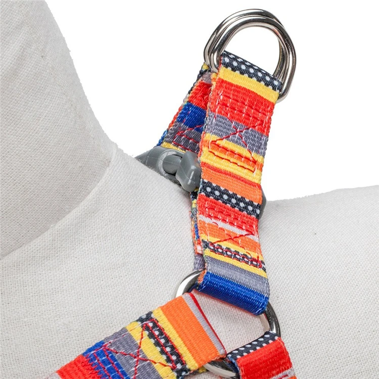 Stocked Top Paw Dog Walking Collar Martingale Heavy Custom Luxury Dog