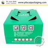 New arrival kiwi fruit cardboard box for gift wholesale