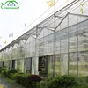 Garden multi span polycarbonate sheet greenhouse price
