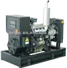 12kva diesel generator 3 cylinder yangdong engines small diesel generator set