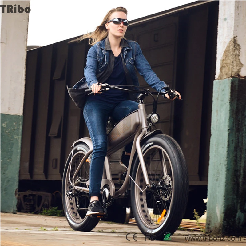 LCD display 4.0 tire electric kit for bike