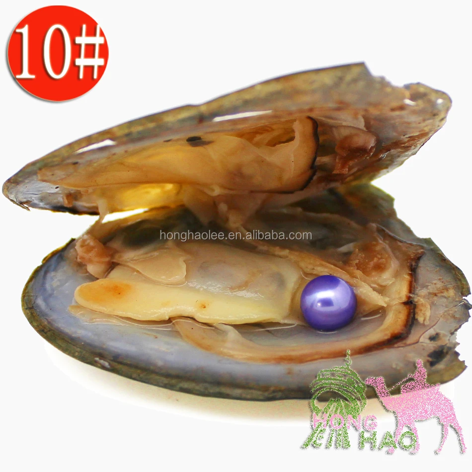 

Round Oyster Pearl 6-7mm #10 Color New Freshwater Pearl Gift, Natural Oyster Vacuum Packaging Wholesale