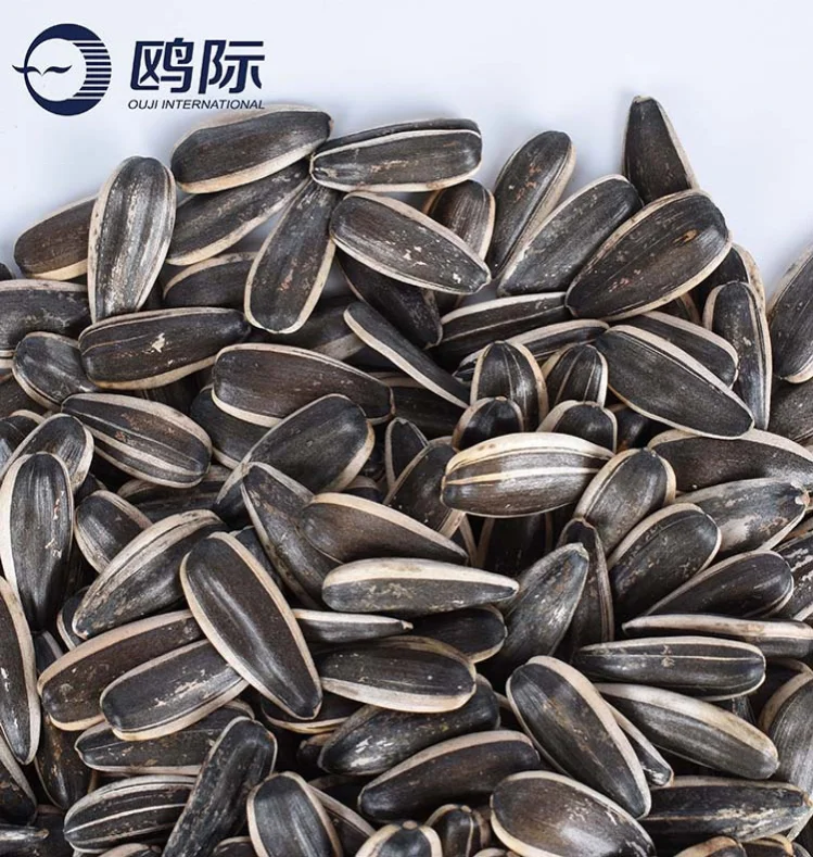 Sunflower Seeds Turkey Buy Sunflower Seeds To Turkey,Hybrid Seeds,Hybrid Seeds Product on