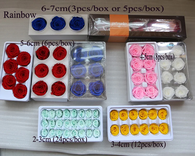 Wholesale Stabilized Decorative Preserved Roses Big Size 910cm In