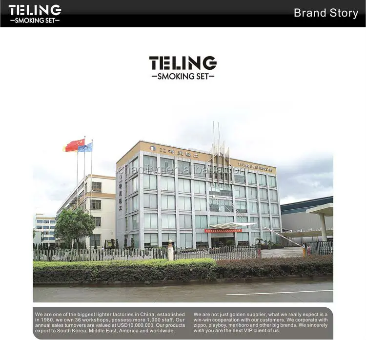 TELING company BUILDING.jpg