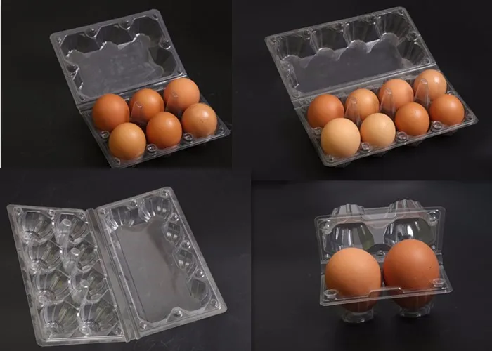 30 Plastic Eggs Tray Buy 30 Eggs Tray,Plastic 30 Eggs Capacity Tray